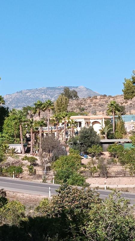 Properties for sale and rent in Spain photo 1