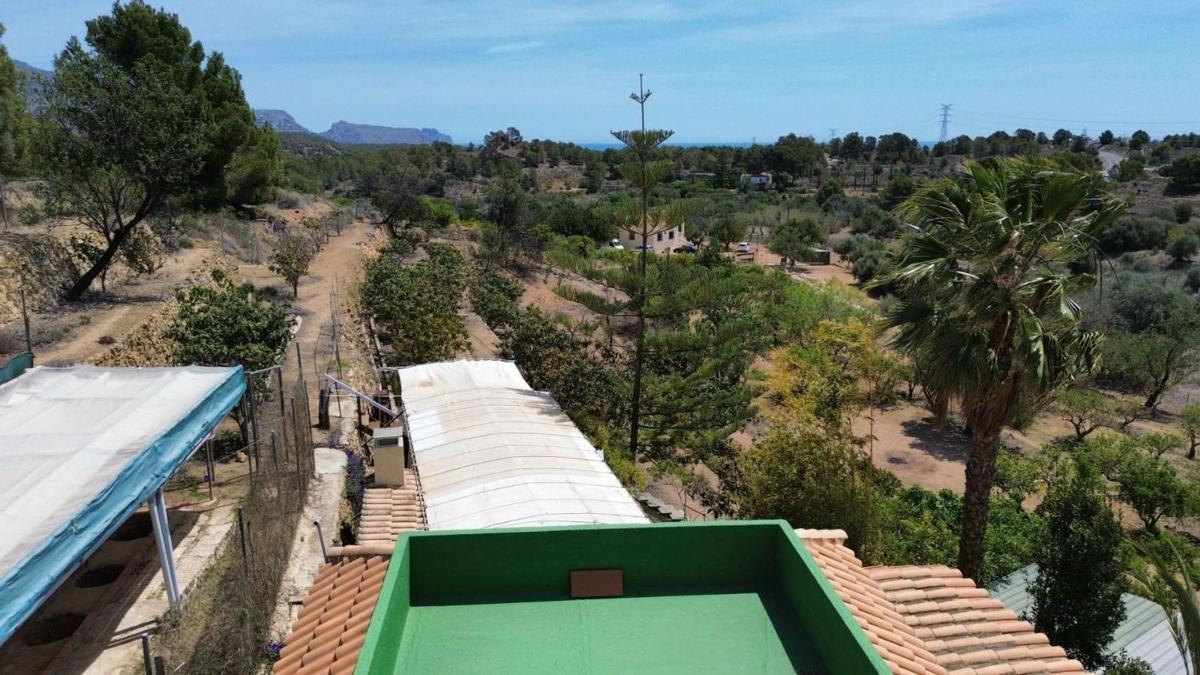 Properties for sale and rent in Spain photo 3