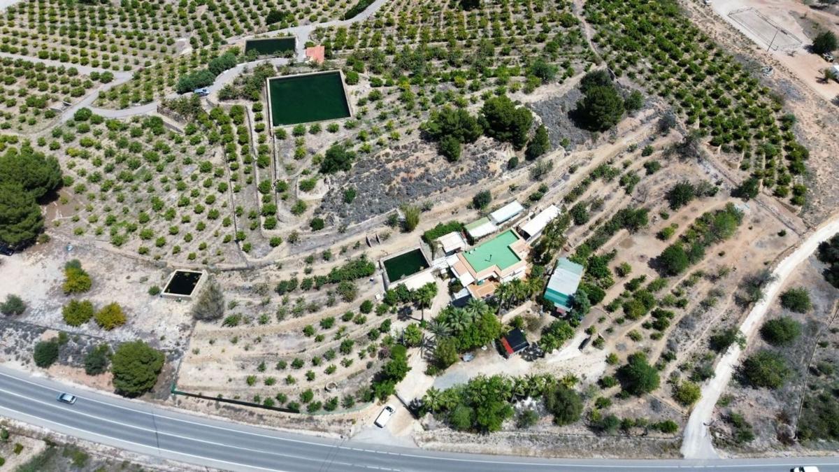Properties for sale and rent in Spain photo 5