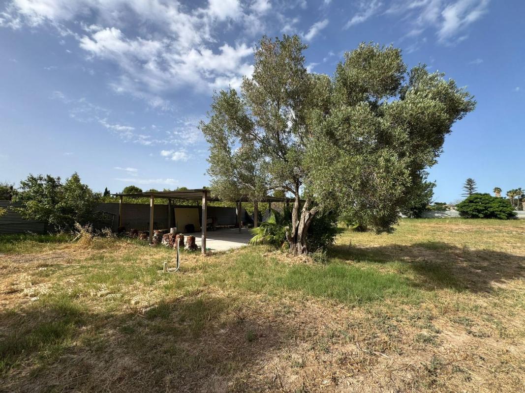 Venta de finca rústica en  Finca rústica en San Bartolome, 214, Molins-Campaneta-San Bartolomé, Orihuela , Orihuela photo 3