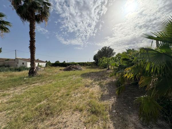 Finca rústica en venta en  Finca rústica en San Bartolome, 214, Molins-Campaneta-San Bartolomé, Orihuela , Orihuela photo 4