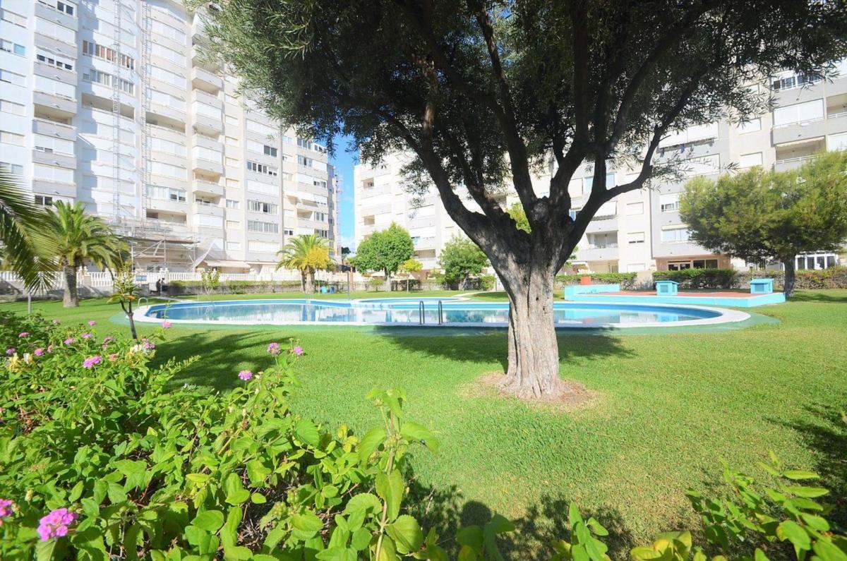 Продажа квартиры на Piso en Alitana - Casablanca, La Villajoyosa / Vila Joiosa, Ла Виллахойоса / Вила Хойоса
photo 4