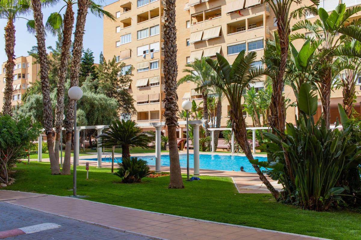 Venta de piso en Piso en Calle de Perú, 15, Babel, Alicante / Alacant, Alicante / Alacant
photo 5