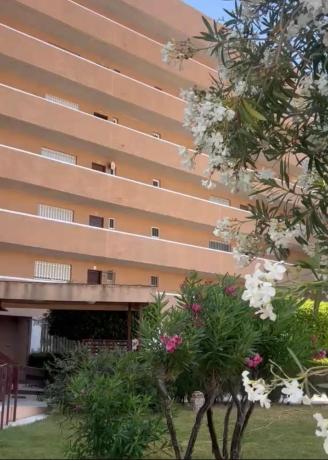 Sprzedaż mieszkania w Piso en Calle el Poniente, Cabo Roig, Orihuela, Orihuela
photo 1