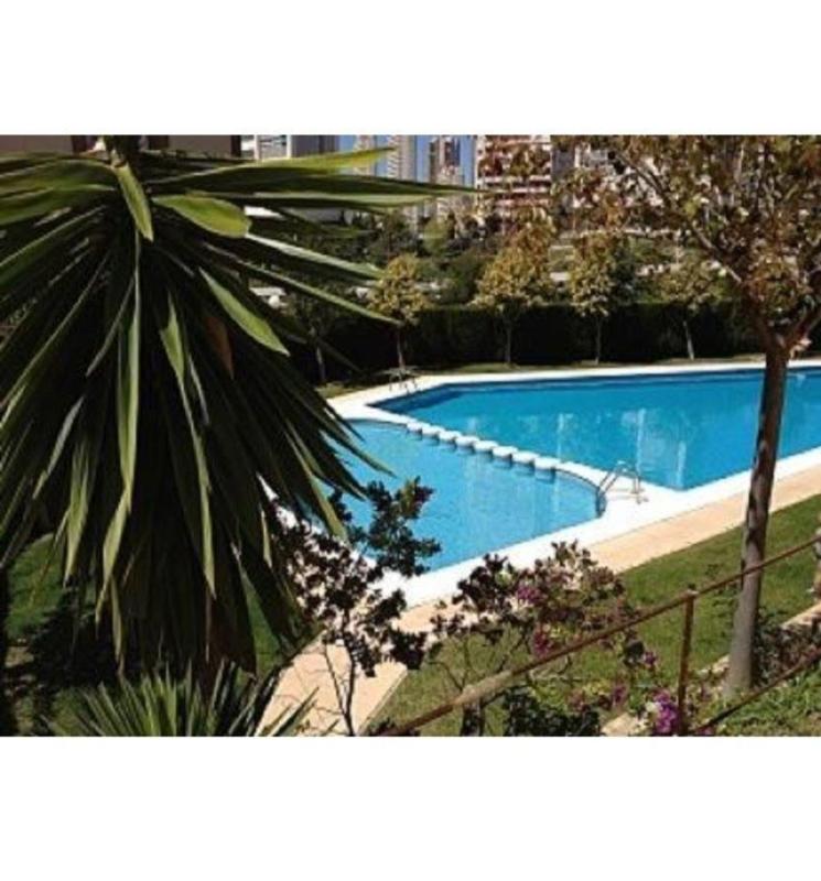 Venta de piso en Piso en Playa de Poniente, Benidorm, Benidorm
 photo 5