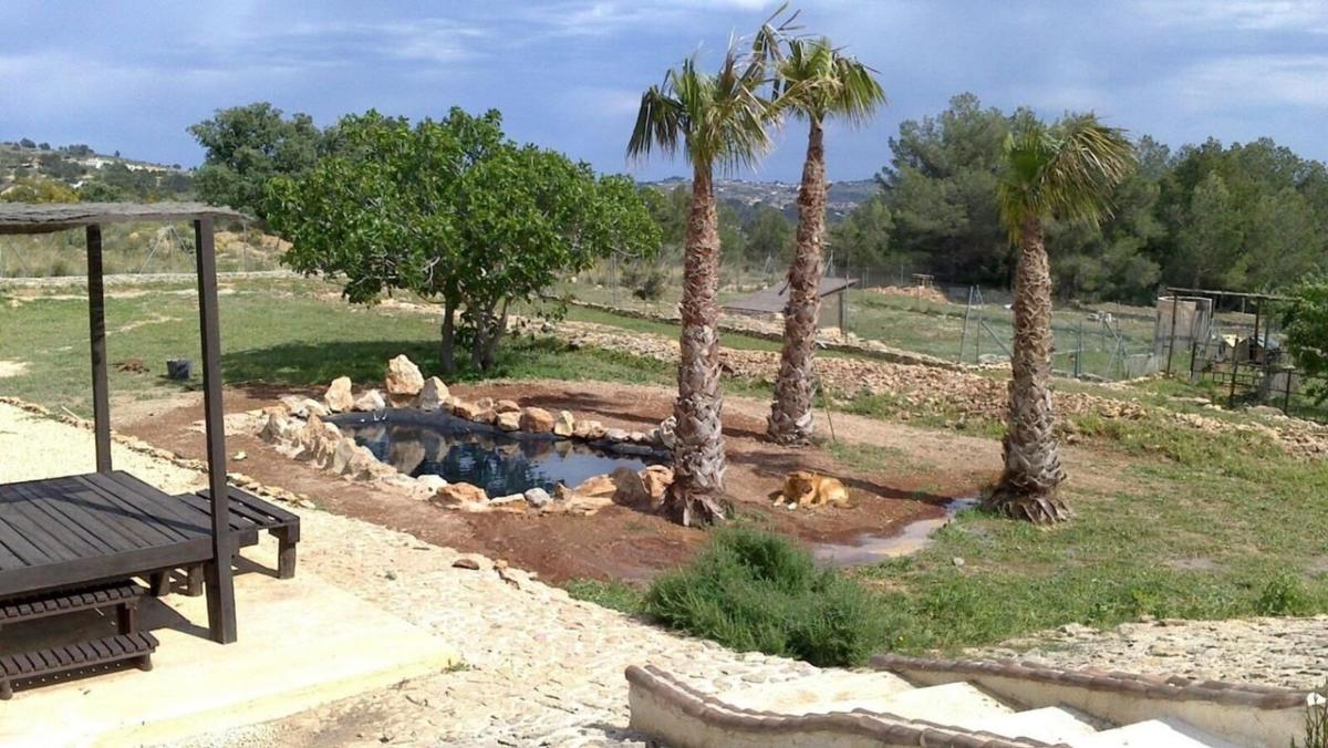 Venta de finca rústica en  Finca rústica en Carretera Pinos, Benissa pueblo, Benissa , Benissa photo 2