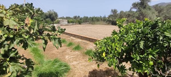 Chalet independiente en venta en Casa o chalet en Pueblo Levante, Benidorm, Benidorm
 photo 3
