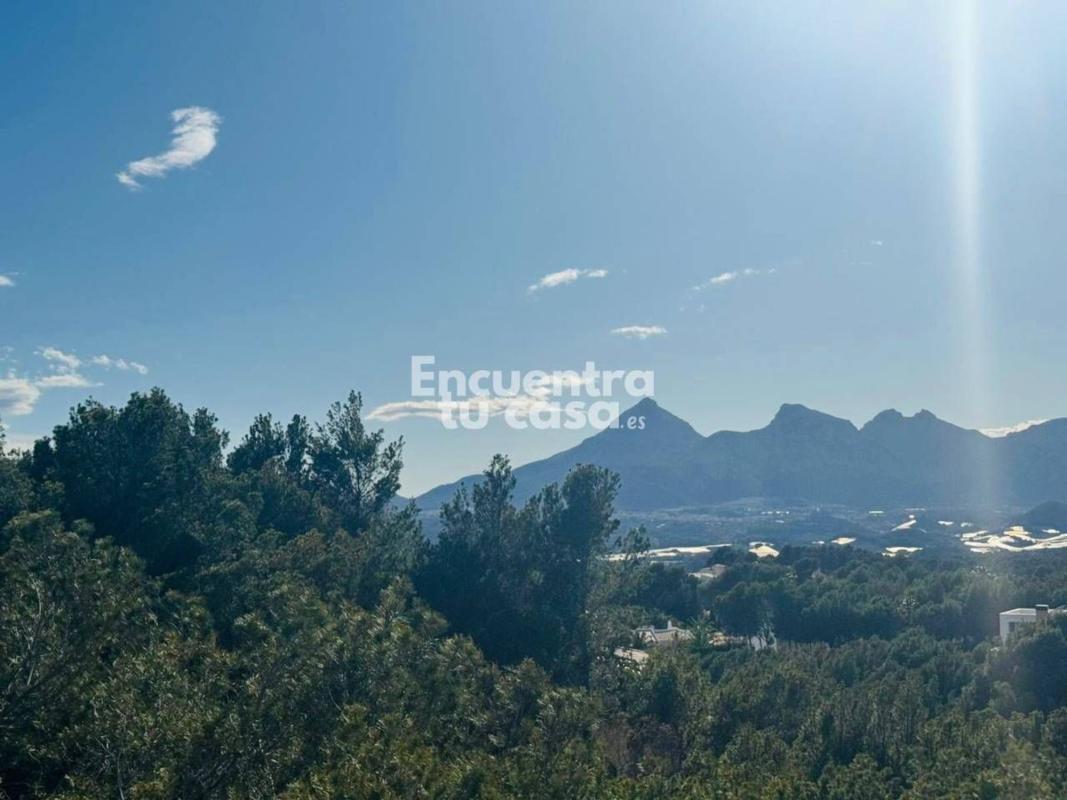 Propiedades en venta y alquiler en España photo 2