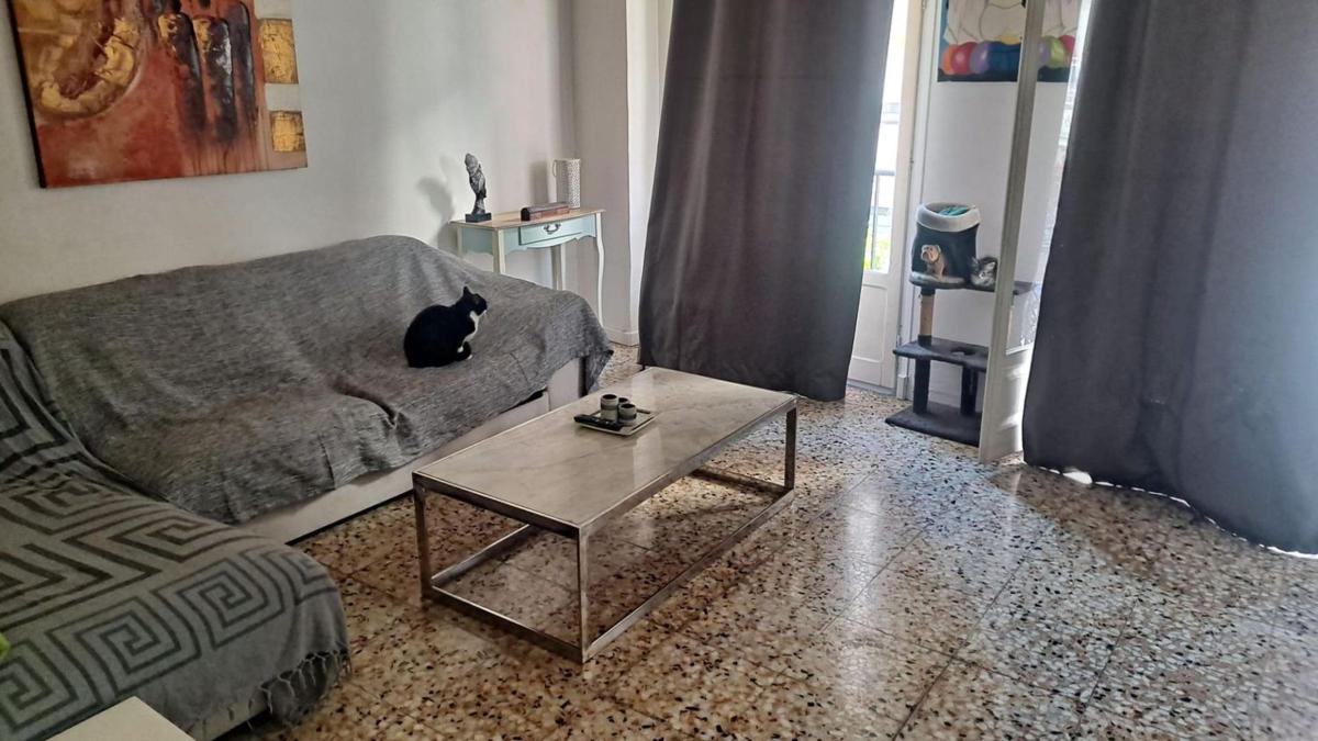 Venta de piso en Piso en Los Magros-Casablanca, Elche / Elx, Elche / Elx
 photo 3