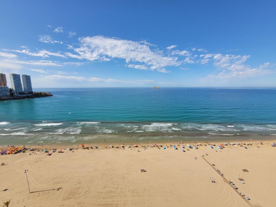 Sprzedaż mieszkania w Piso en Avenida de Madrid, Playa de Levante, Benidorm, Benidorm
photo 4