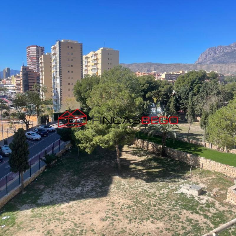 Sale of studio in Estudio en Avenida de Portugal, 1, Pueblo Levante, Benidorm, Benidorm photo 5