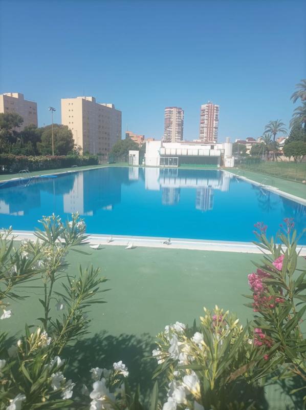 Sale of apartment in Piso en Avenida de Portugal, 1, Pueblo Levante, Benidorm, Benidorm
photo 2
