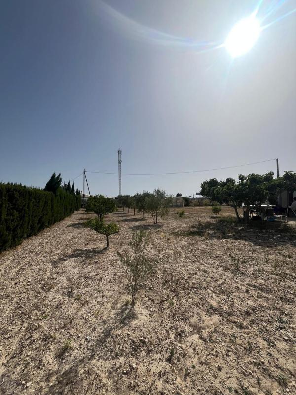 Terreno en venta en El Campello, Alicante photo 2