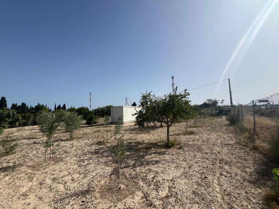 Terreno en venta en El Campello, Alicante photo 3