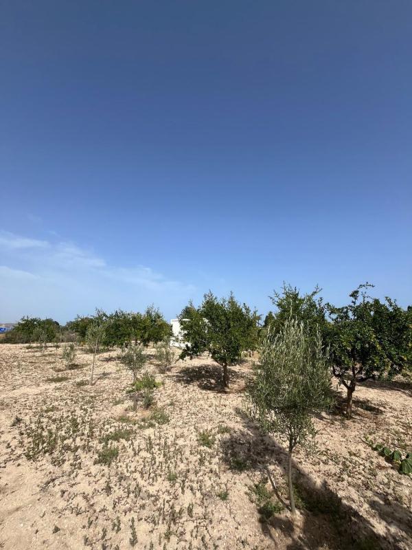 Terreno en venta en El Campello, Alicante photo 4