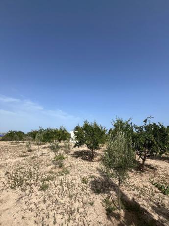 Terreno en Circunvalación de Alicante, 70, Campello Pueblo, El Campello photo 4