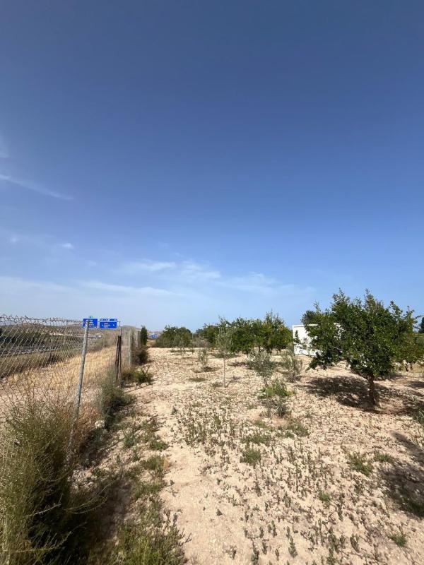 Terreno en venta en El Campello, Alicante photo 5