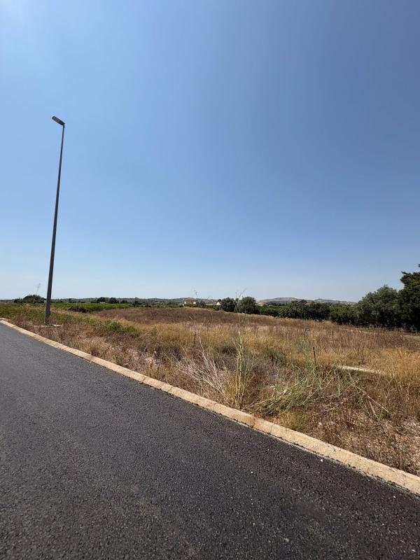 Działka na sprzedaż w Almoradí, Alicante photo 1