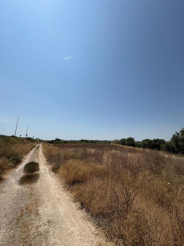 Działka na sprzedaż w Almoradí, Alicante photo 4