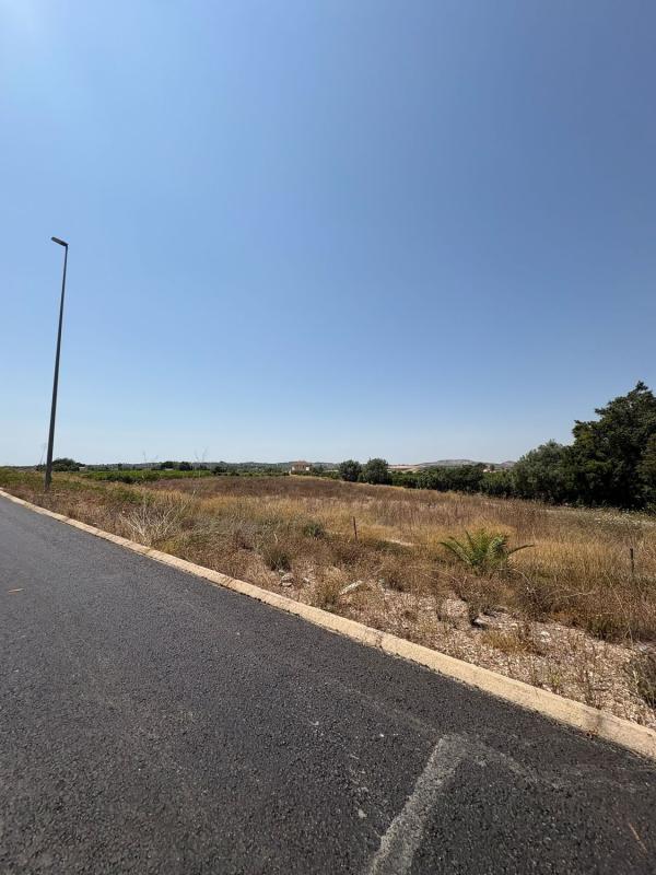 Działka na sprzedaż w Almoradí, Alicante photo 5