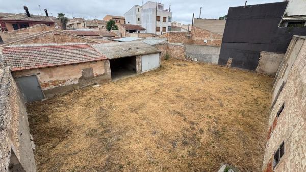 Terreno en Pinoso photo 1