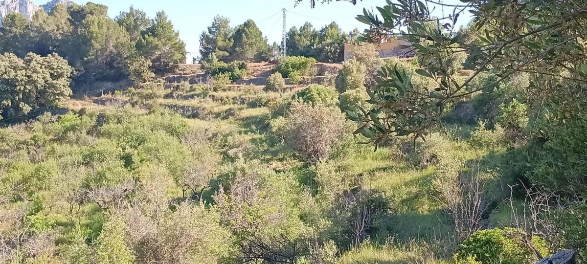 Terreno en venta en Tarbena, Alicante photo 2
