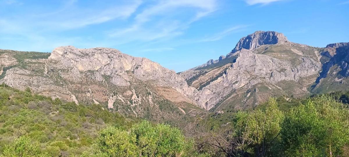 Terreno en venta en Tarbena, Alicante photo 3