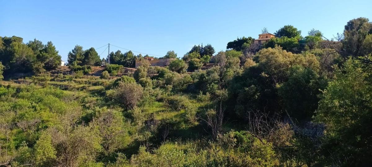 Terreno en venta en Tarbena, Alicante photo 4
