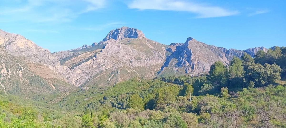 Terreno en venta en Tarbena, Alicante photo 5