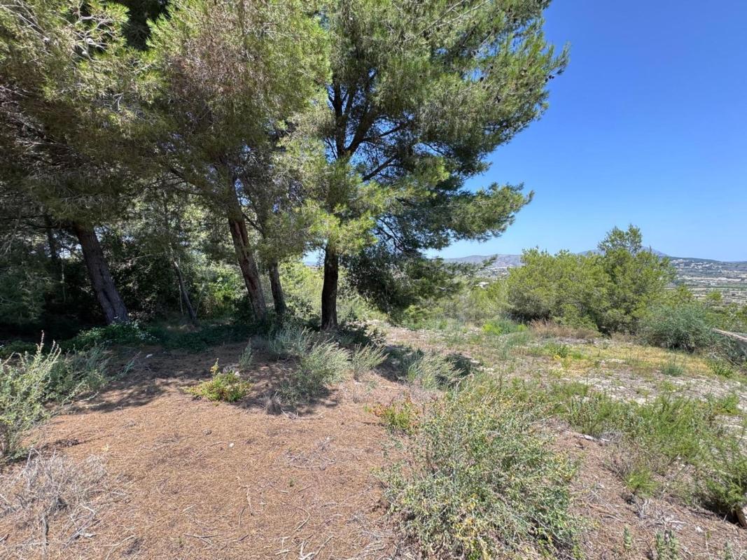Działka na sprzedaż w Moraira, Alicante photo 4