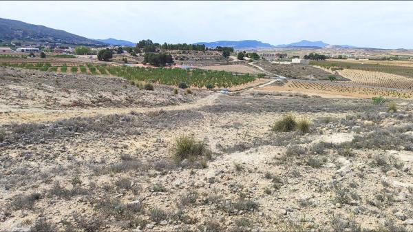 Terreno en Pinoso photo 1