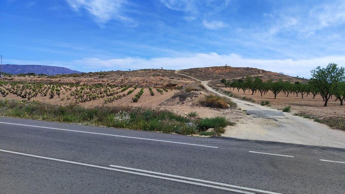 Terreno en venta en Pinoso, Alicante photo 2