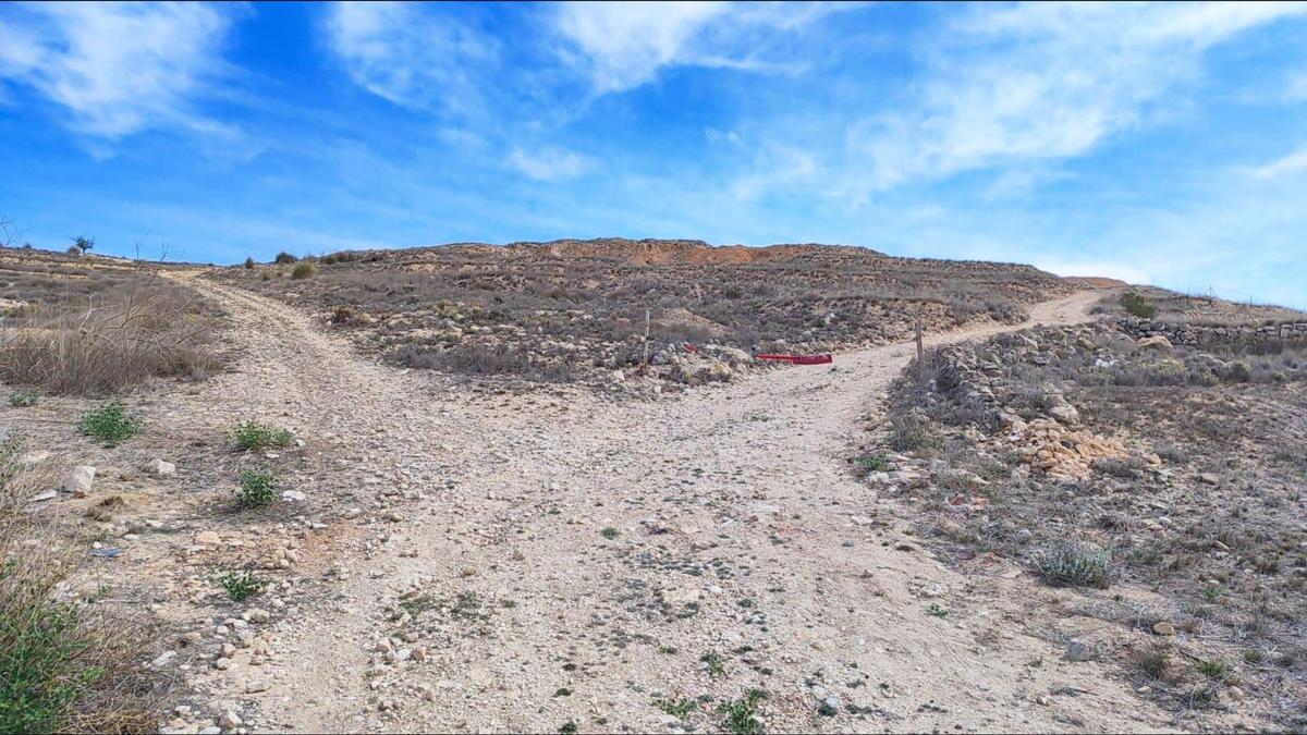 Terreno en venta en Pinoso, Alicante photo 3