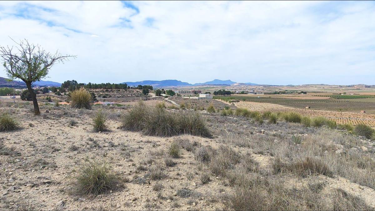 Terreno en venta en Pinoso, Alicante photo 5