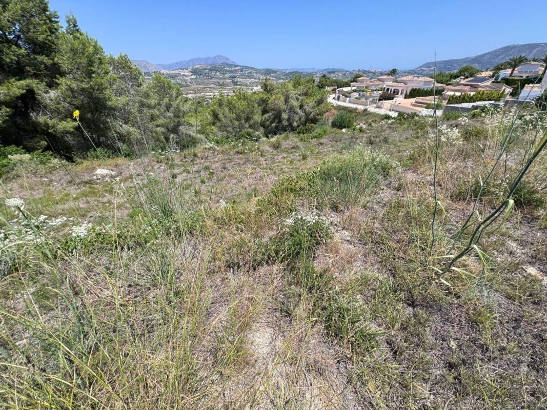 Działka na sprzedaż w Moraira, Alicante photo 3