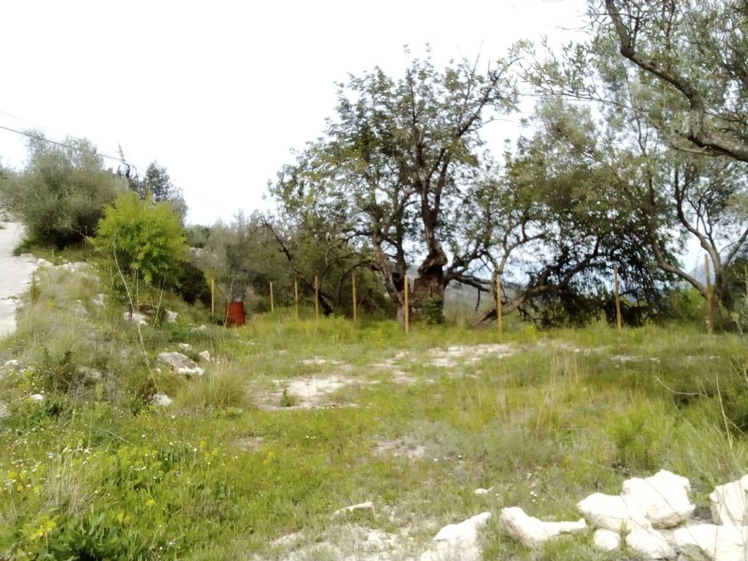 Land for sale in Planes, Alicante photo 2