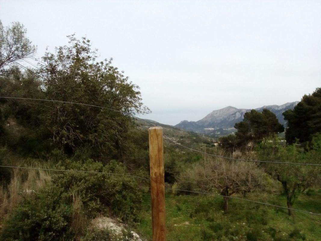 Land for sale in Planes, Alicante photo 3