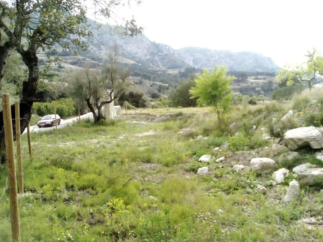 Land for sale in Planes, Alicante photo 4