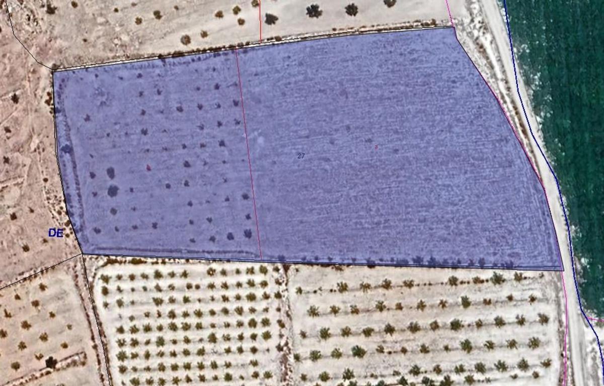 Land for sale in Pinoso, Alicante photo 1