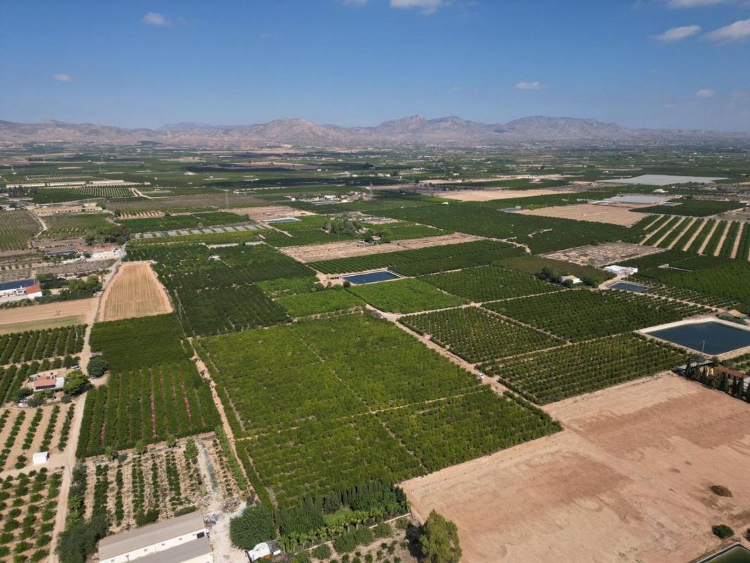 Land for sale in Orihuela, Alicante photo 1