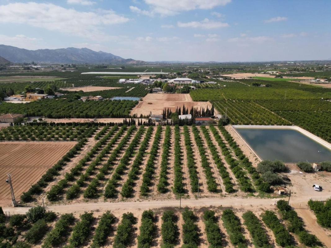 Land for sale in Orihuela, Alicante photo 2