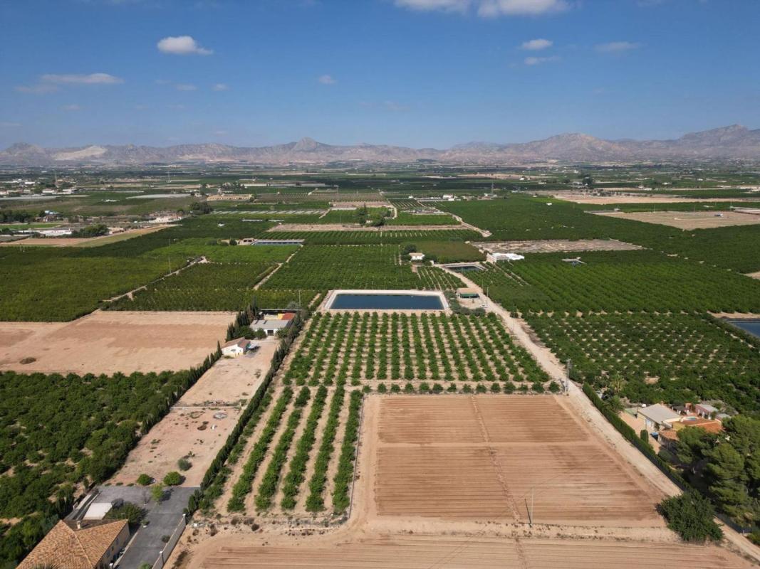 Land for sale in Orihuela, Alicante photo 3