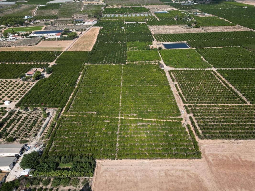 Land for sale in Orihuela, Alicante photo 4