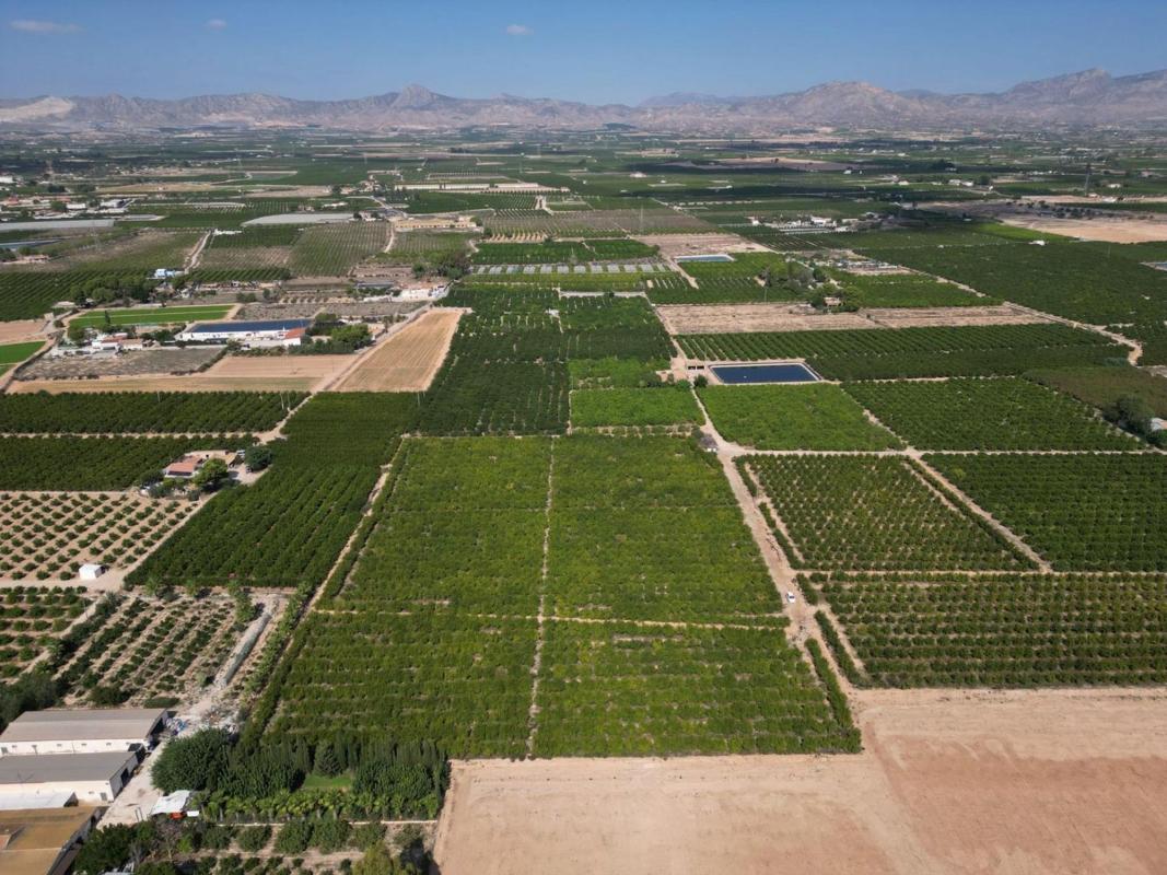 Land for sale in Orihuela, Alicante photo 5