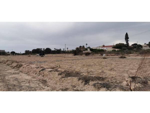 Terreno en La Marina, Elche / Elx photo 1