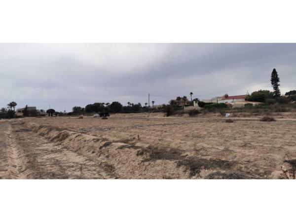 Terreno en La Marina, Elche / Elx photo 2