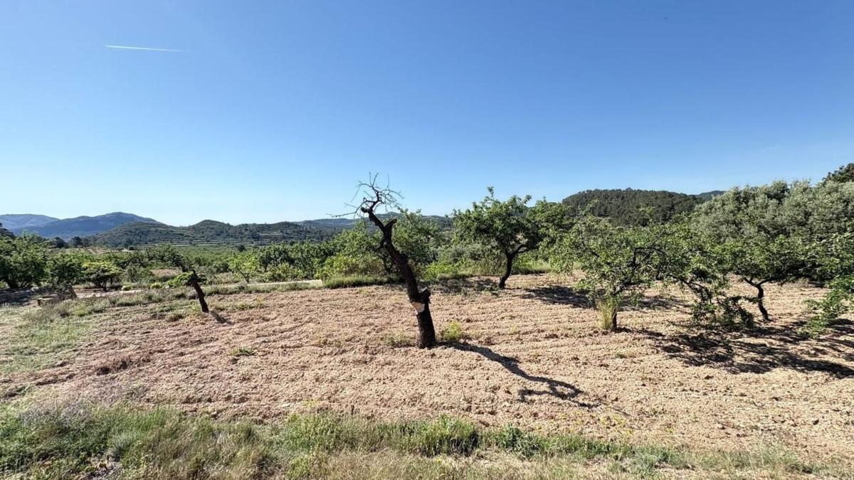 Terreno en venta en Relleu, Alicante photo 4