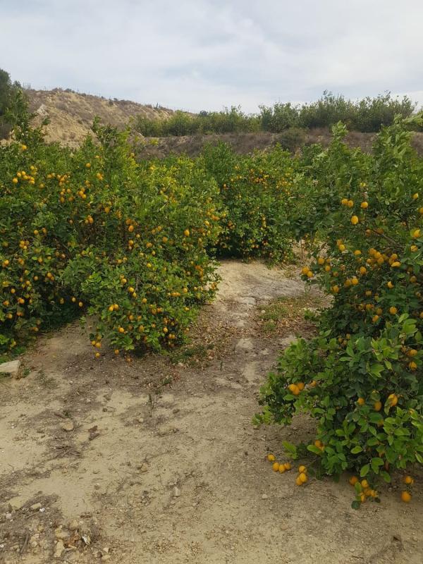 Działka na sprzedaż w Orihuela, Alicante photo 1
