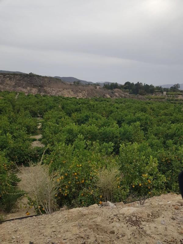 Działka na sprzedaż w Orihuela, Alicante photo 3