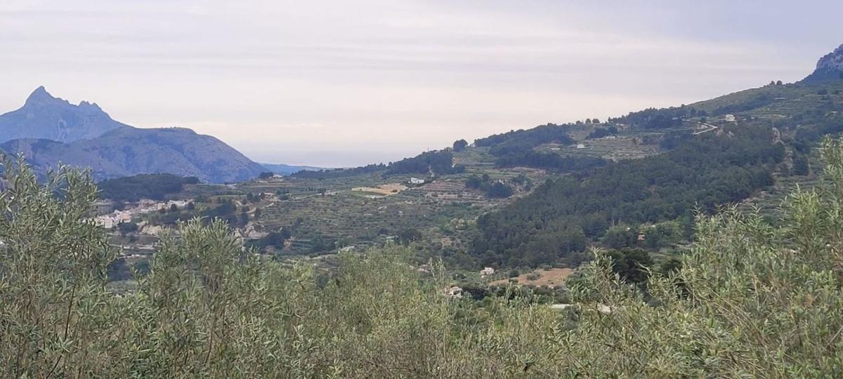 Land for sale in Benifato, Alicante photo 1